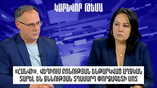 &laquo;Հանվի&raquo;․Վեդիում բռնության ենթարկված աղջկան տարել են զննության տղամարդ փորձագետի մոտ