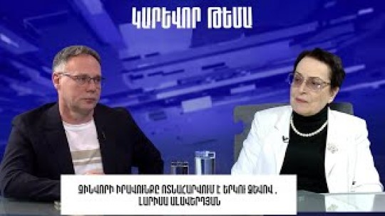 Զինվորի իրավունքը ոտնահարվում է երկու ձևով․ Լարիսա Ալավերդյան