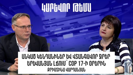 Անկած կենդանիներ և վտանգավոր ջրեր Երևանյան լճում՝ COP 17-ի օրերին․ Քրիստինա Վարդանյան