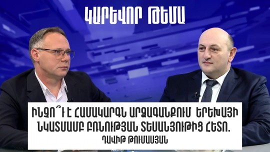 Ինչո՞ւ է համակարգն արձագանքում երեխայի նկատմամբ բռնության տեսանյութից հետո․ Դավիթ Թումասյան