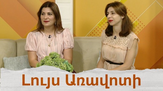 &laquo;Երեխաների պաշտպանության ցանց&raquo;. գործունեության ոլորտները