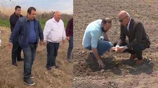 Գ. Ծառուկյանի գերմանացի գործընկերը ծանոթացել է բամբակի արտադրության գործընթացին